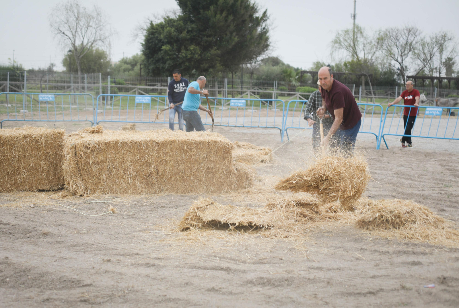 Galería de la Feria  de ganado en Tarambana