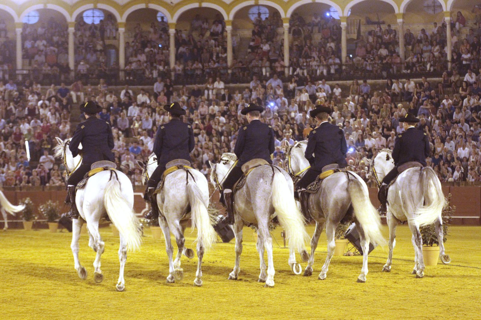 El espectáculo 'Cómo bailan los caballos andaluces', en imágenes