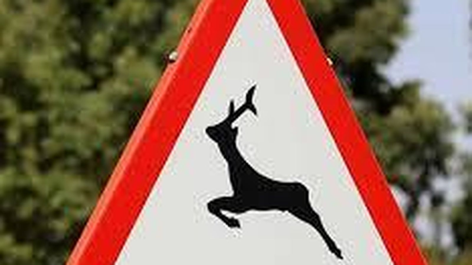 Atención a las señales, pues pueden indicarnos donde es más fácil el riesgo de atropello.