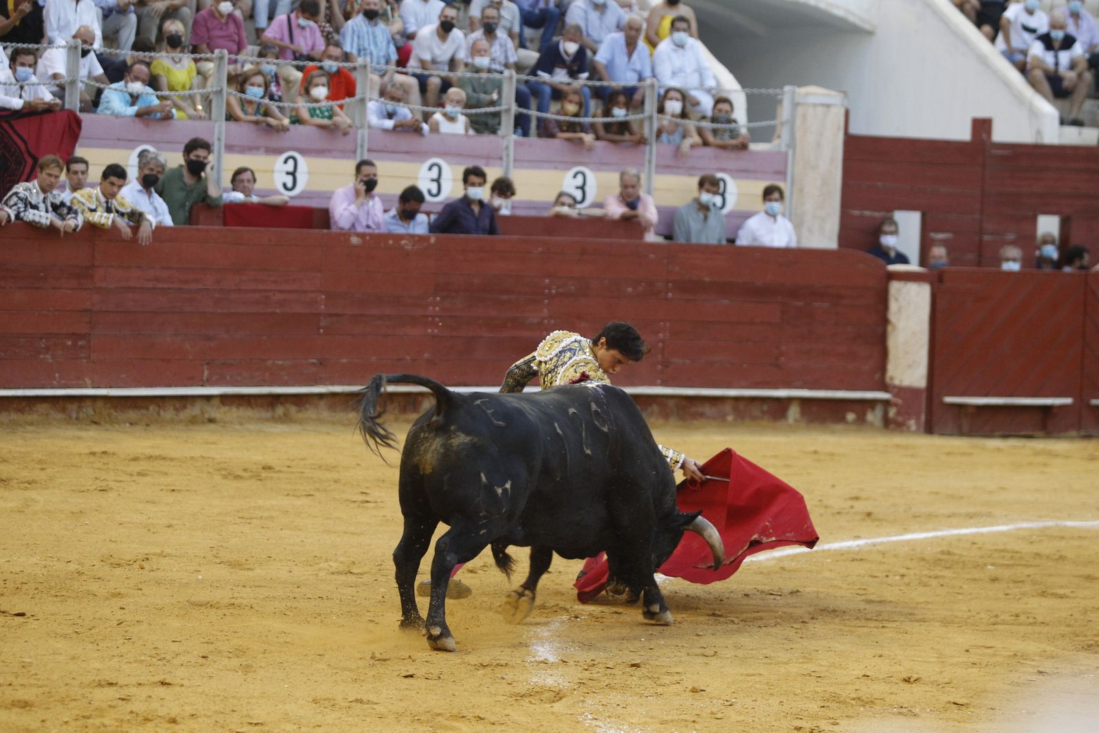 Fotogalería segunda corrida de toros Feria de Almeria 2021