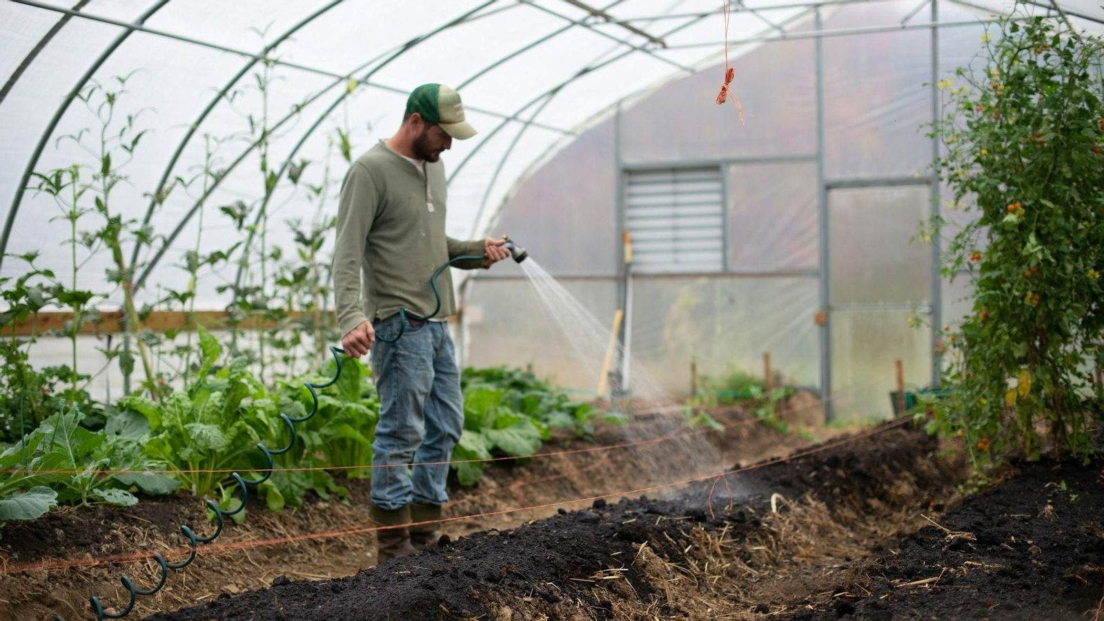 Cómo elegir el invernadero perfecto para tu jardín o tu pequeño huerto