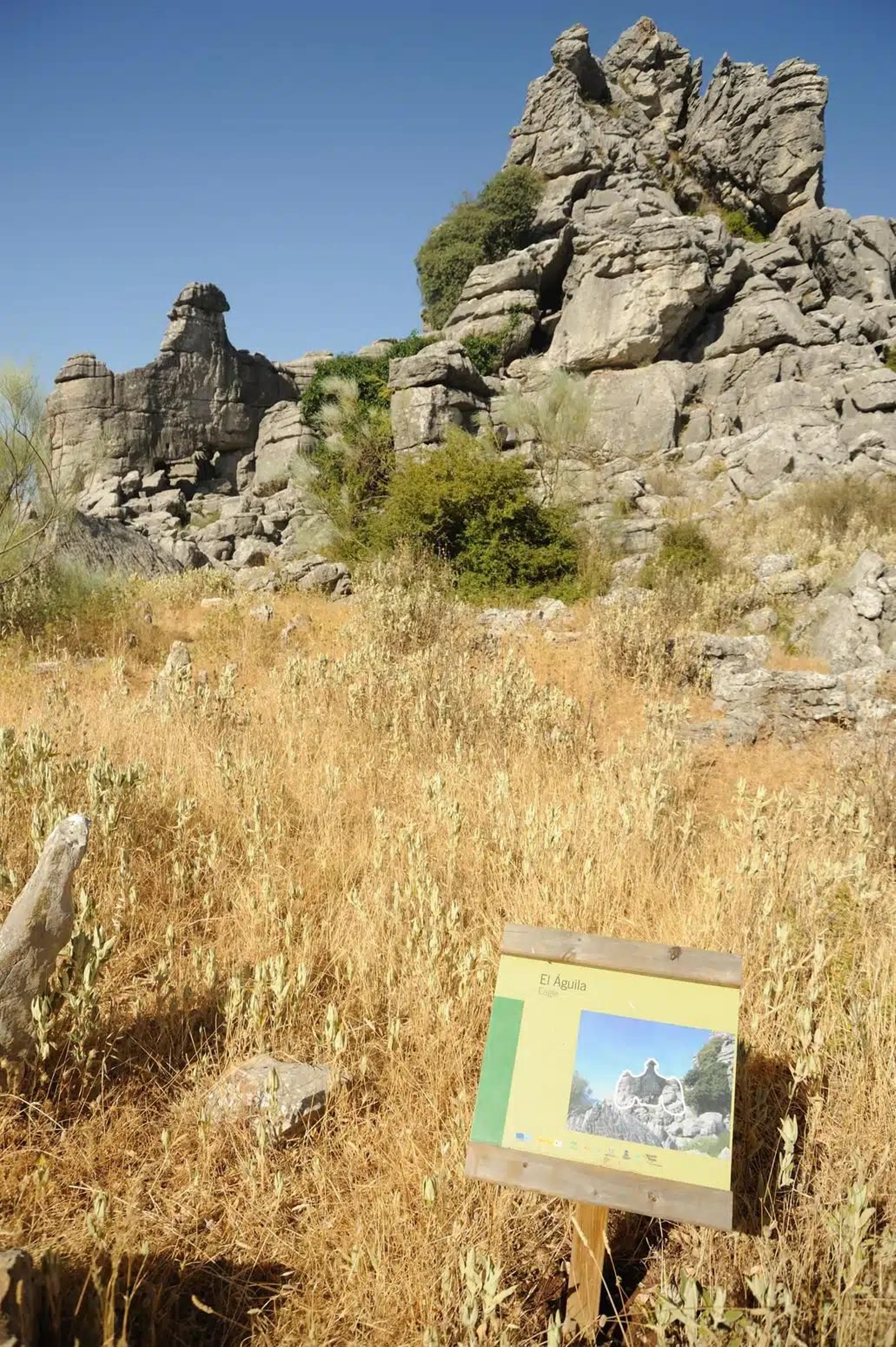 El Águila de Los Riscos.