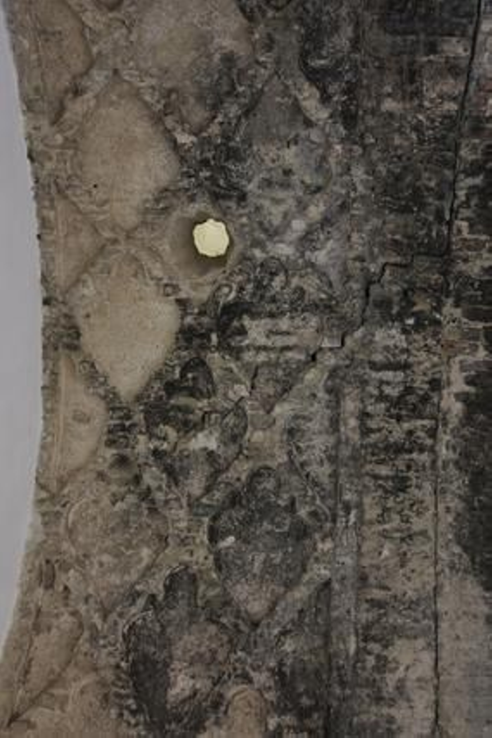 Bóveda con decoración de sebka.

Foto: José Ángel García