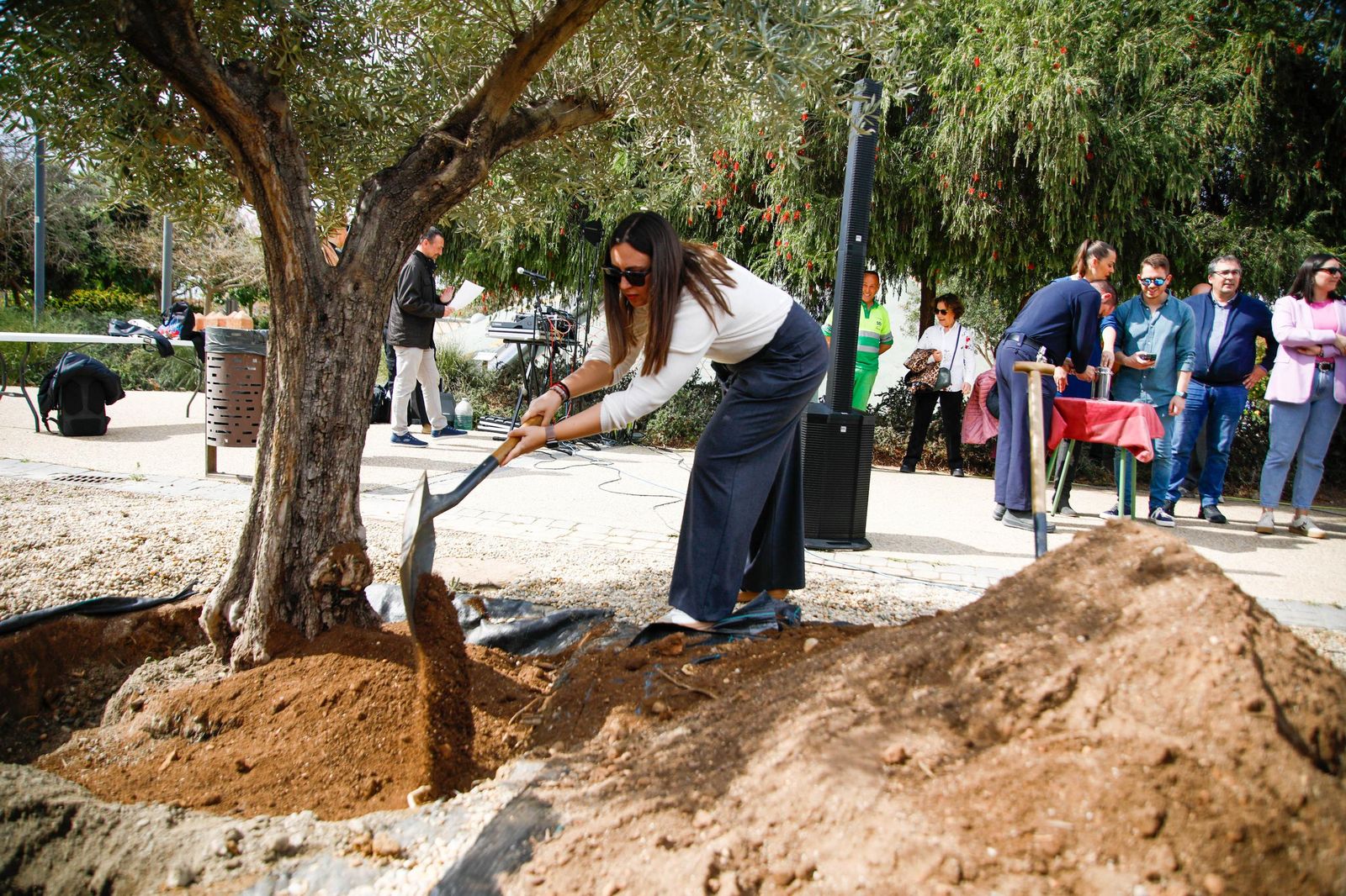Las imágenes de la plantación de un olivo y el entierro de una cápsula del tiempo