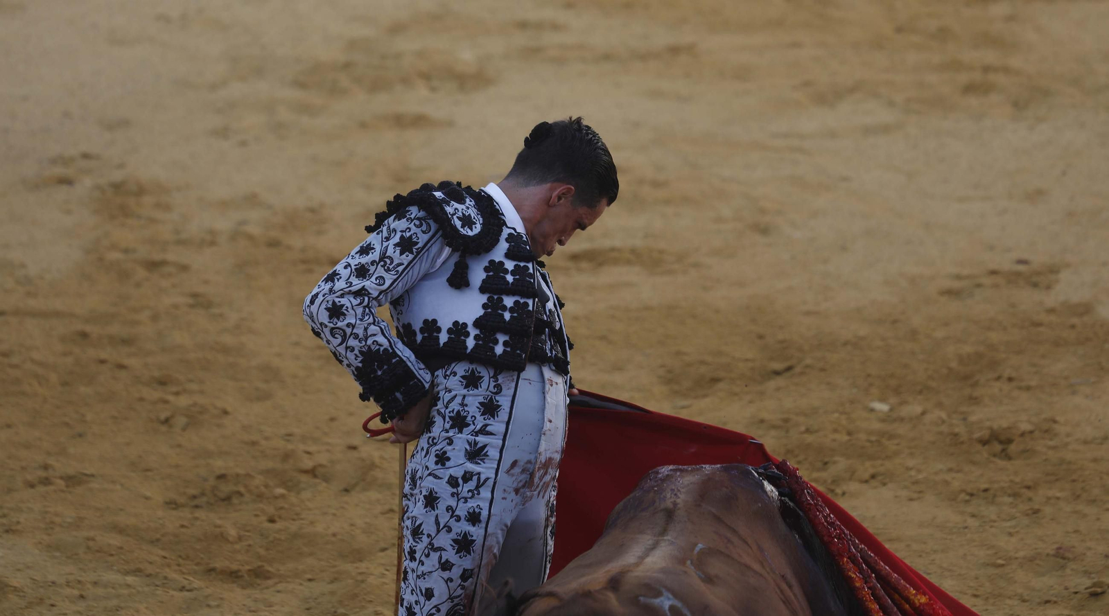 Las fotos de la corrida de toros de David Galván, Daniel Luque y Joaquín Galdós en San Roque