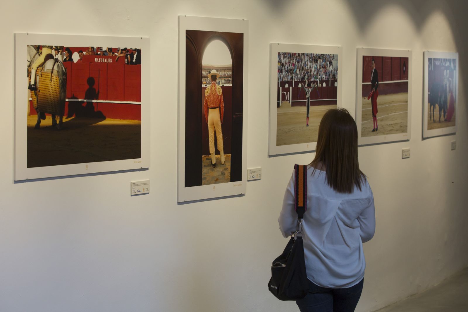 Tardes de toros en La Malagueta, en fotos