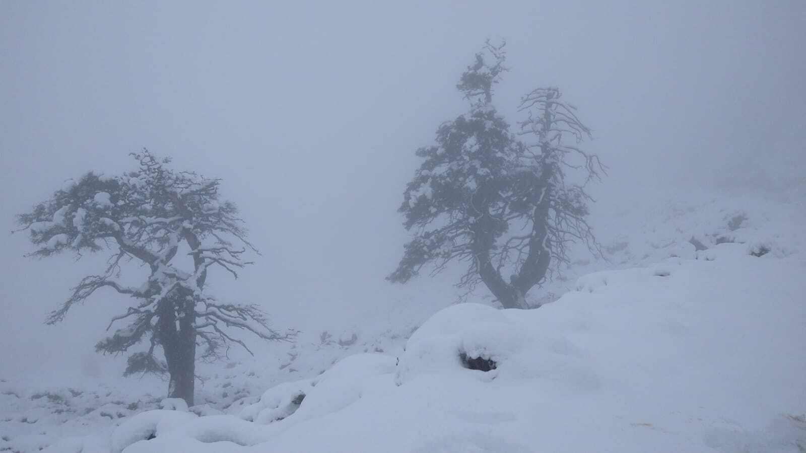 La Sierra de las Nieves en el anterior temporal.