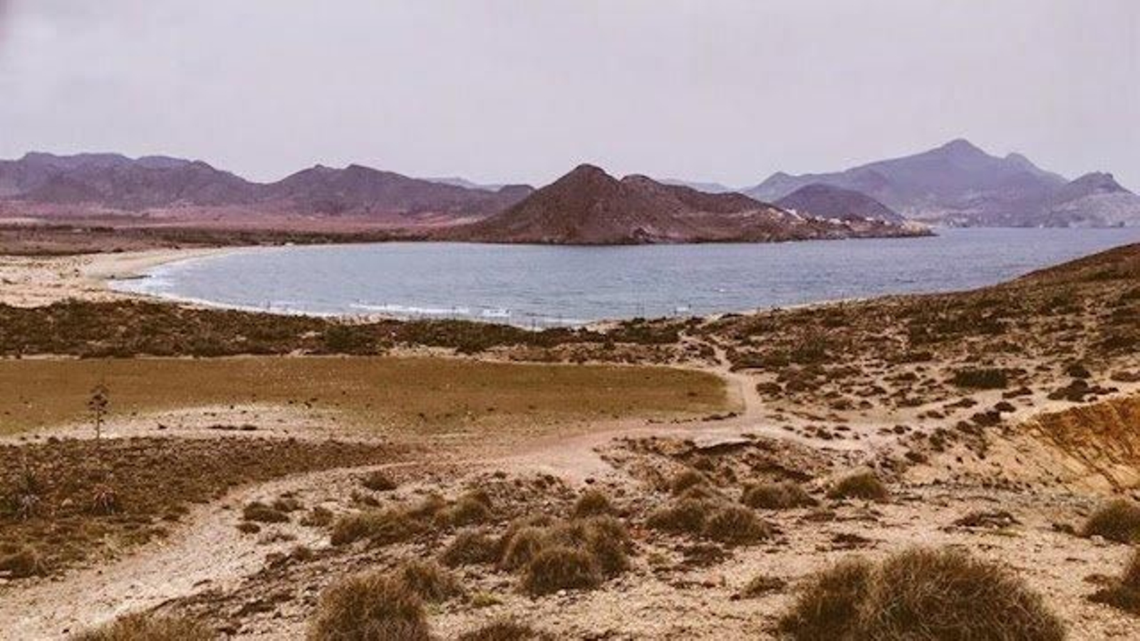 Esperanza Pérez sobre el hotel en Genoveses: "Si la ley dice que se puede hacer, no hay más que hablar"