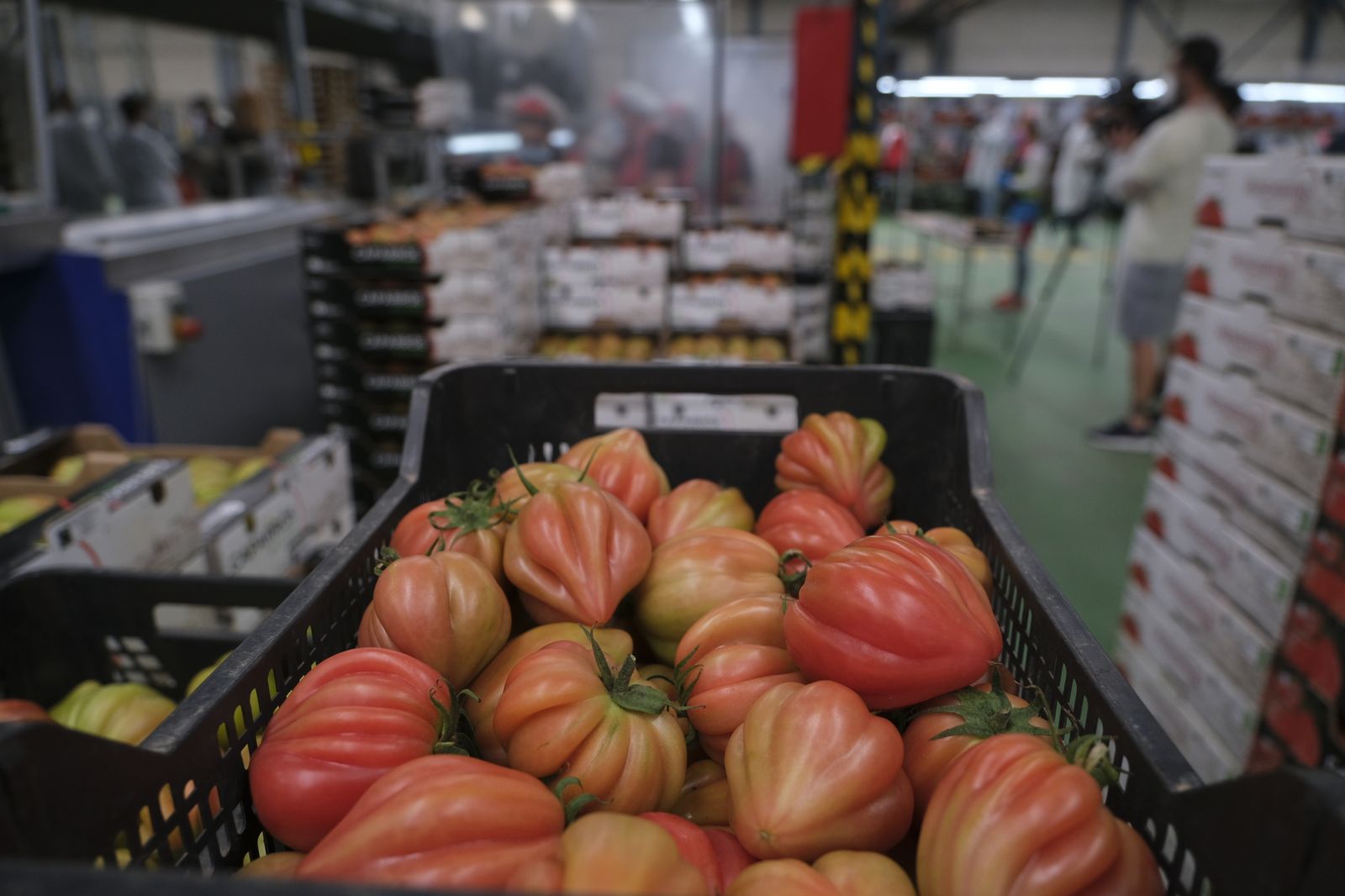 Fotogalería visita de Carmen Crespo a Grupo Caparrós. Almería