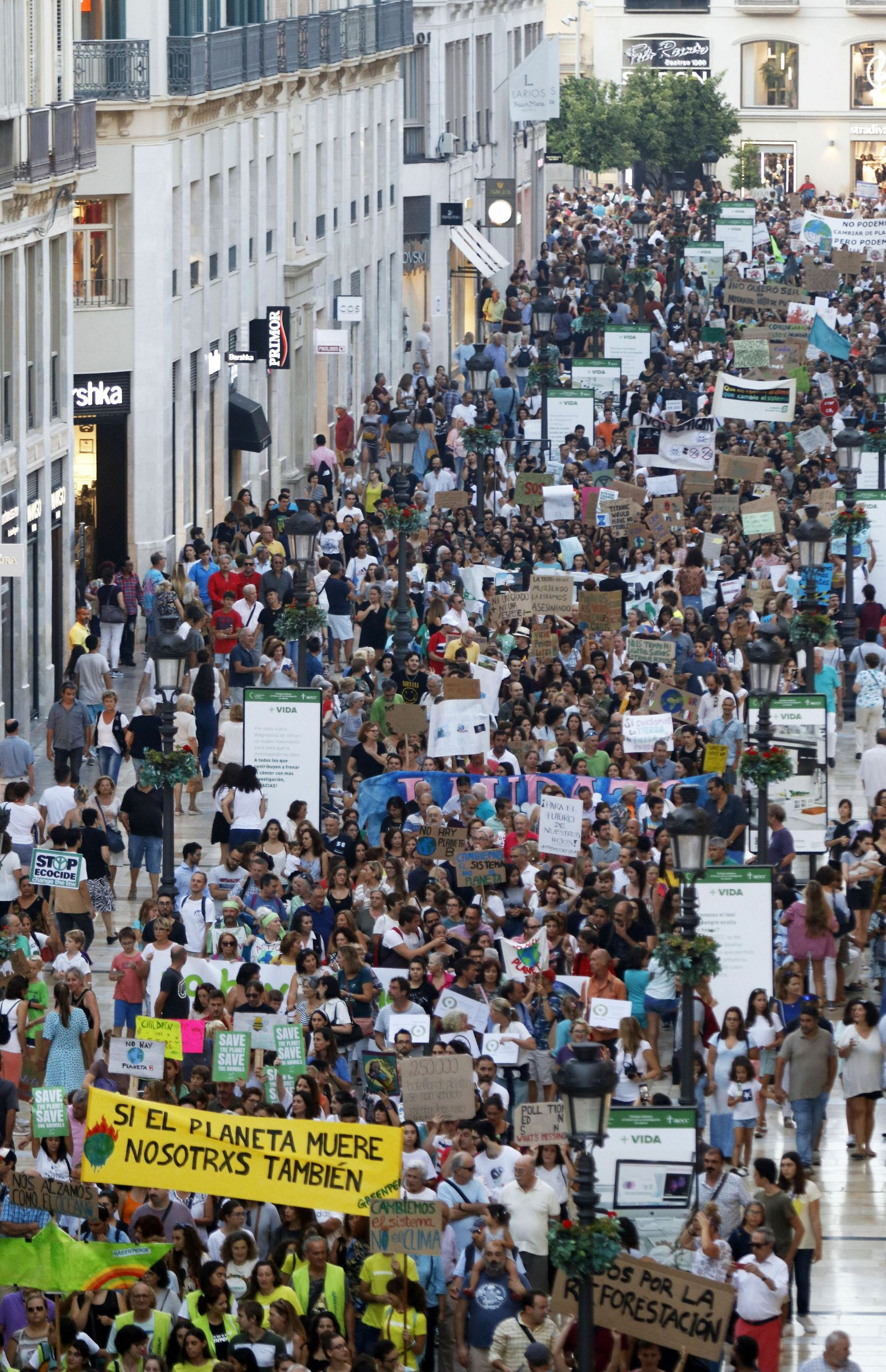 Manifestación en Málaga contra el cambio climático. Huelga Mundial por el Clima.