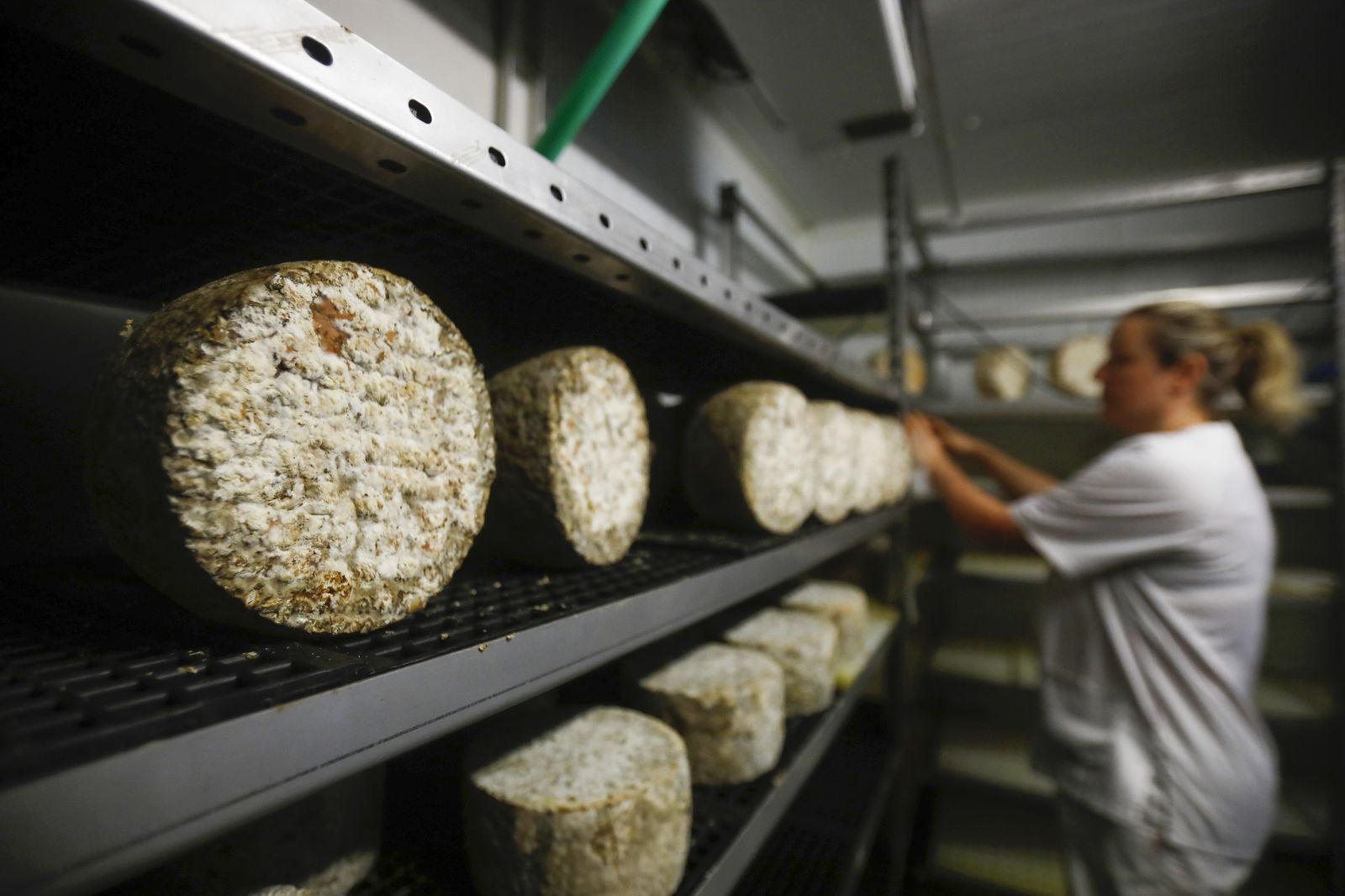 La maestra quesera Ángela Plazuelo, en Villaralto.