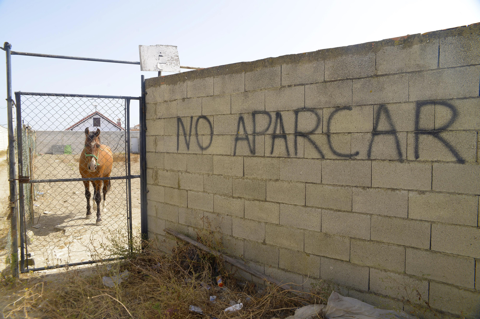 Fotos de las narcourbanizaciones del El Zabal en La Linea