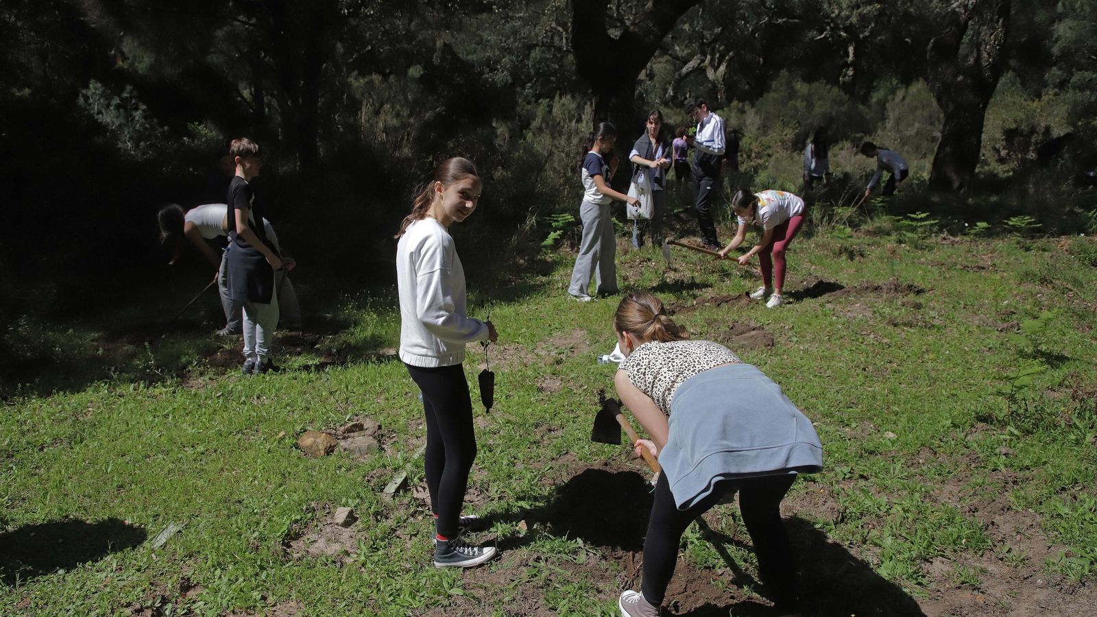 Fotografías de la plantación del programa 'Reverdece' de Acerinox Fotografías de la plantación del programa 'Reverdece' de Acerinox