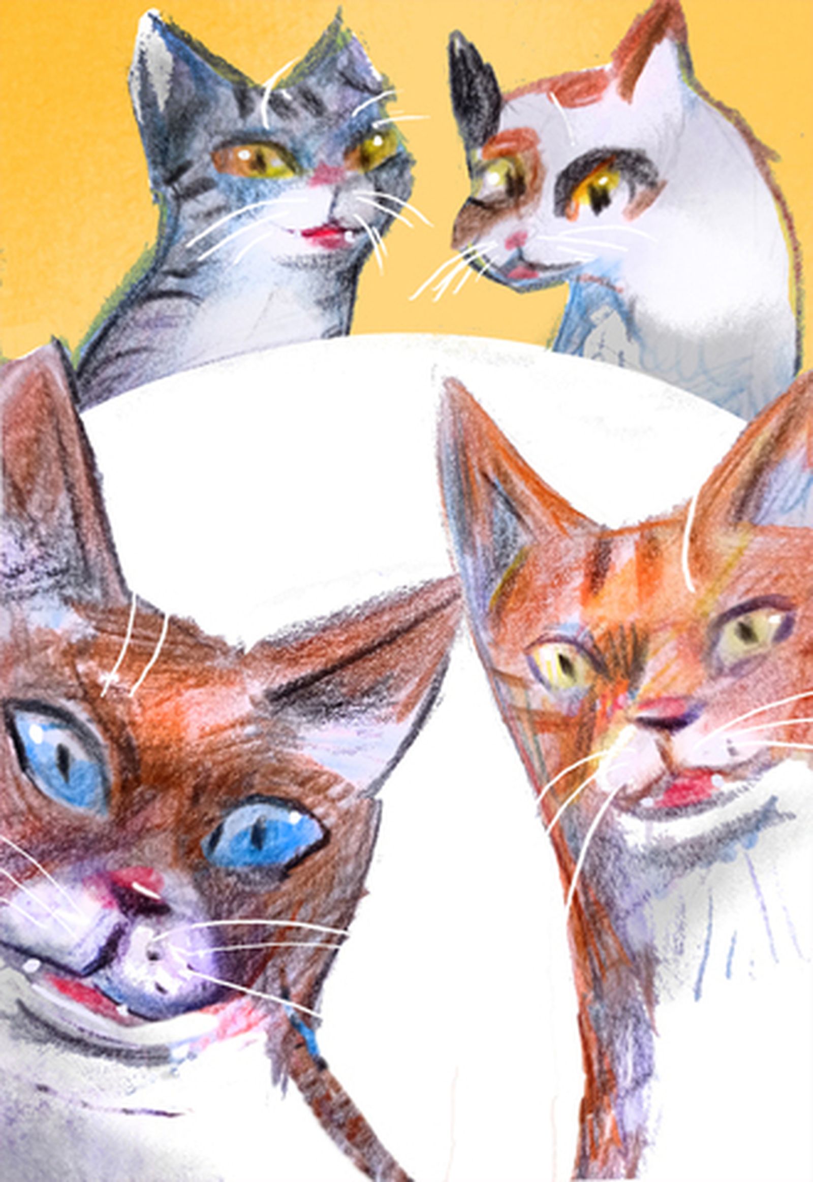 Tertulianos y redes sociales