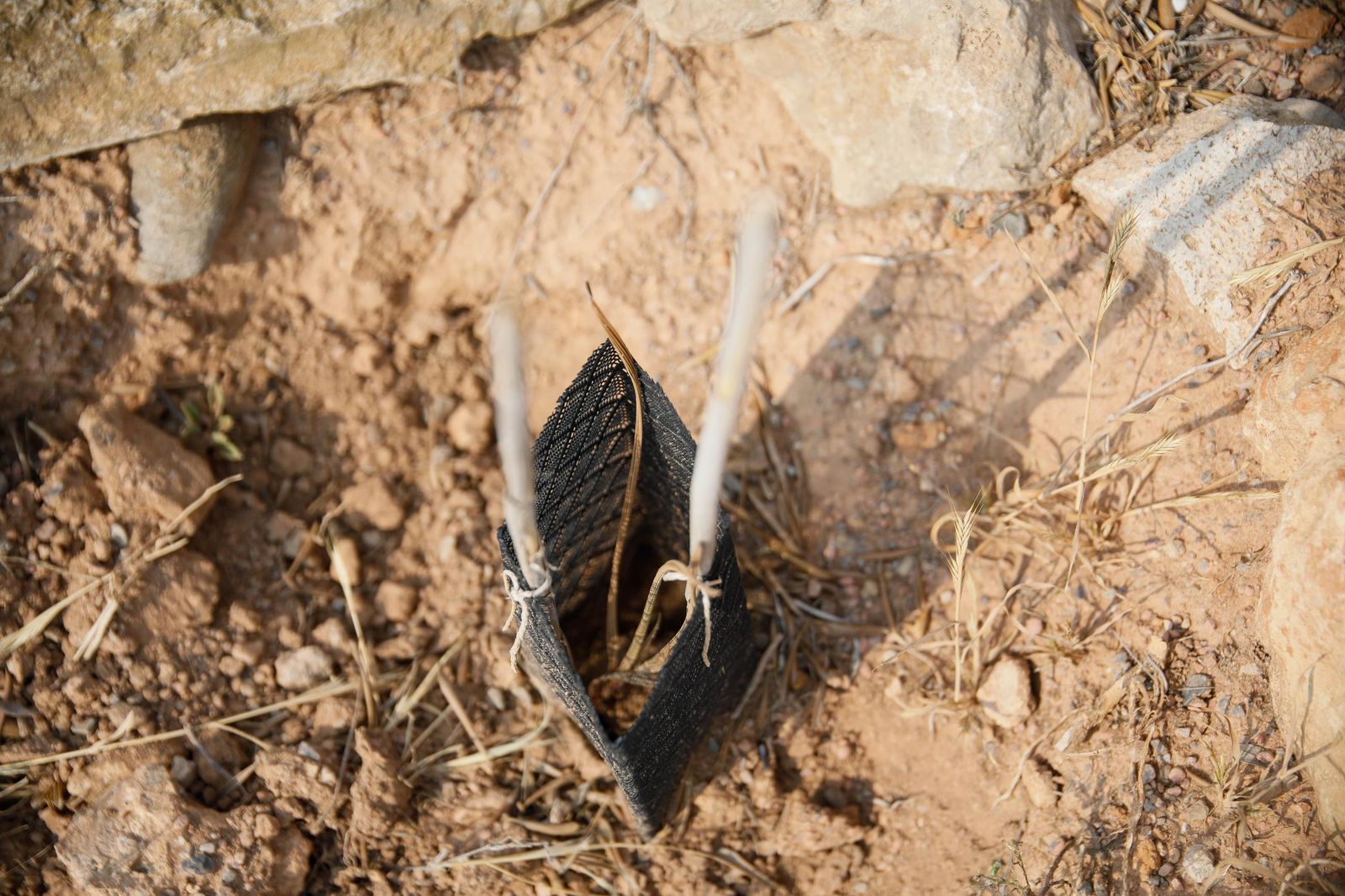 Presentación proyecto custodia compartida del Cordel de la Campita de Almería