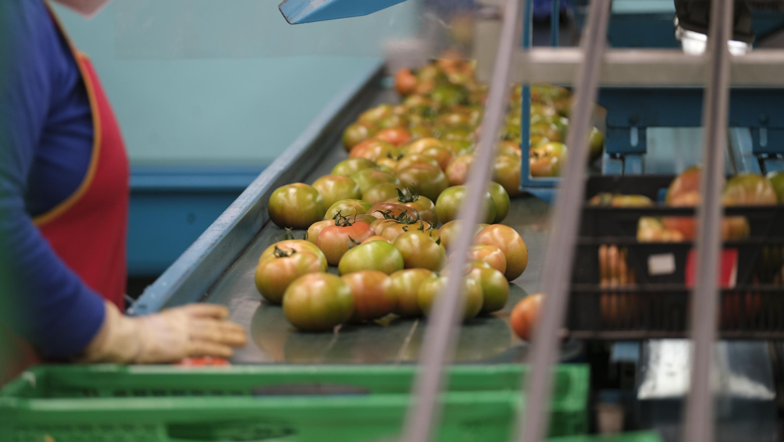 Fotogalería de la visita de Vicente del Bosque a Grupo Caparrós.