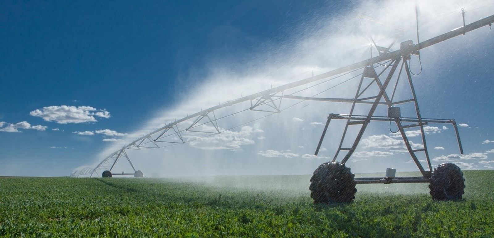 Riego del campo andaluz.