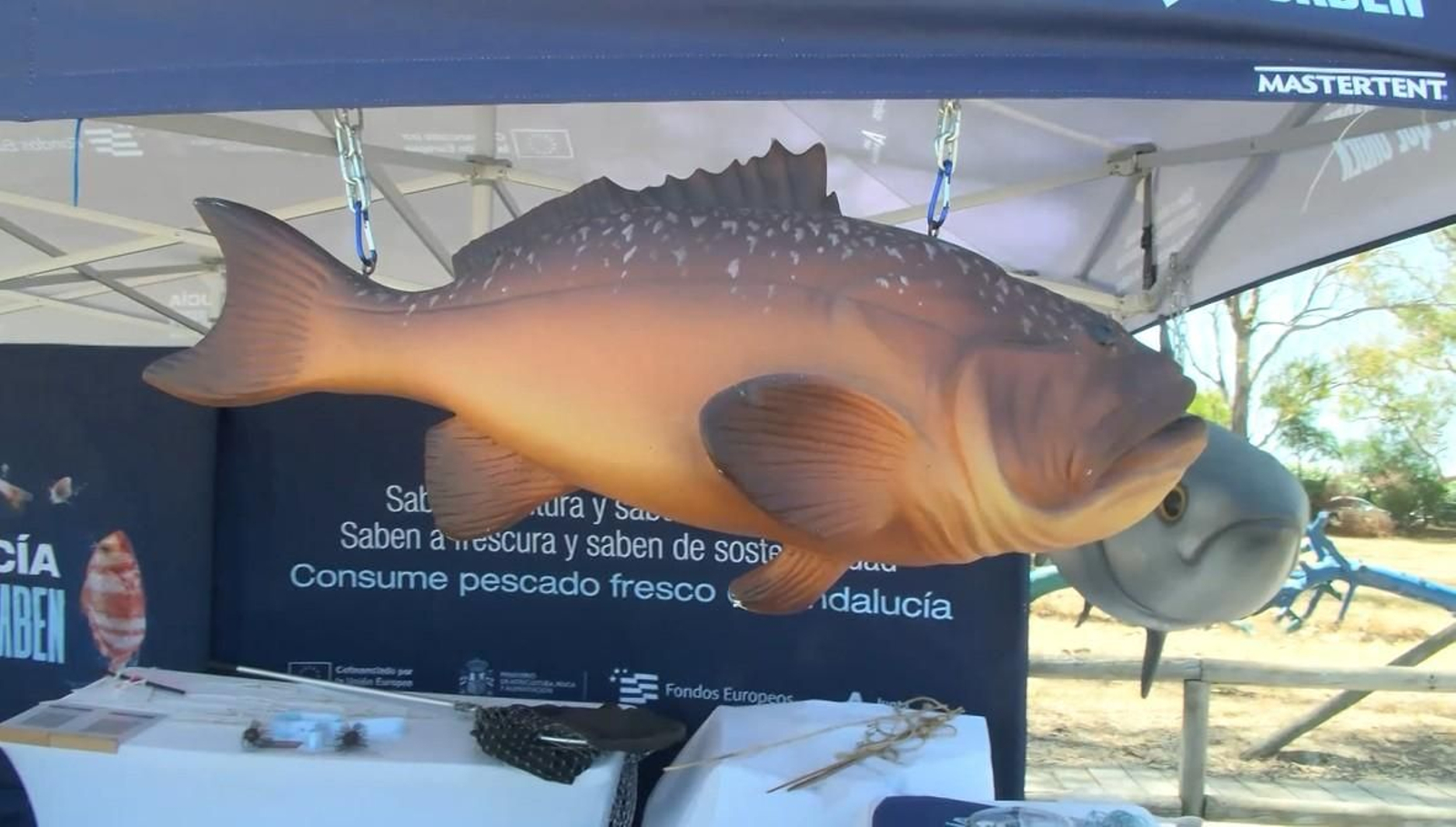 Mares que saben en el Río San Pedro