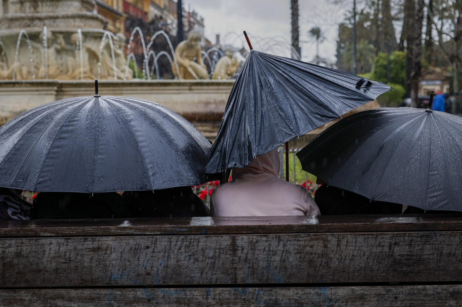 Otro día de frío y lluvia en Sevilla