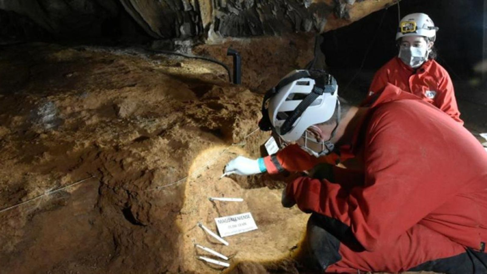 Proyecto de investigación en Rincón de la Victoria