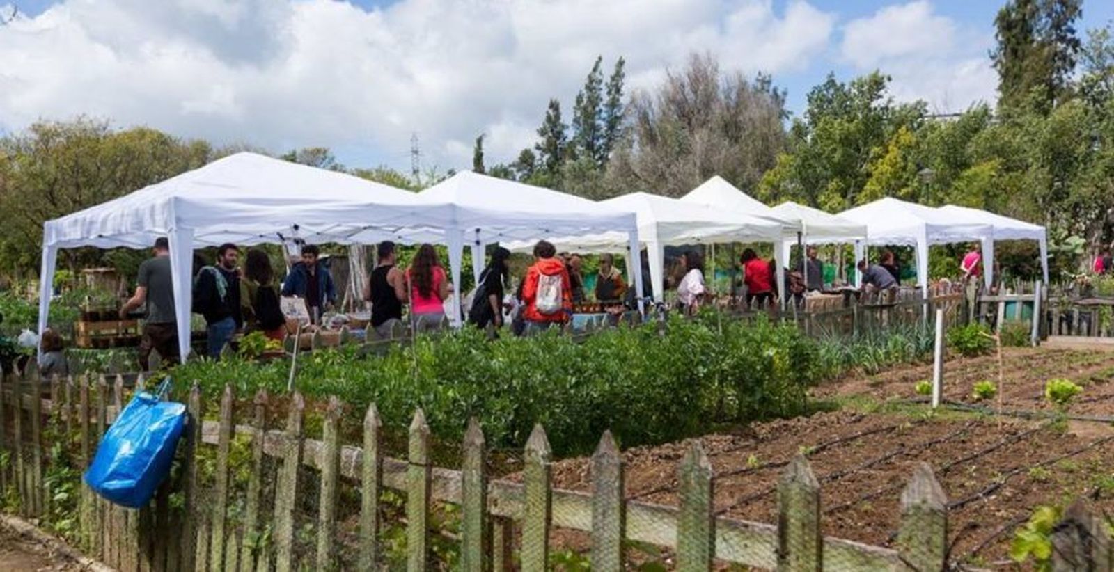 Imagen del mercado ecológico de San Jerónimo