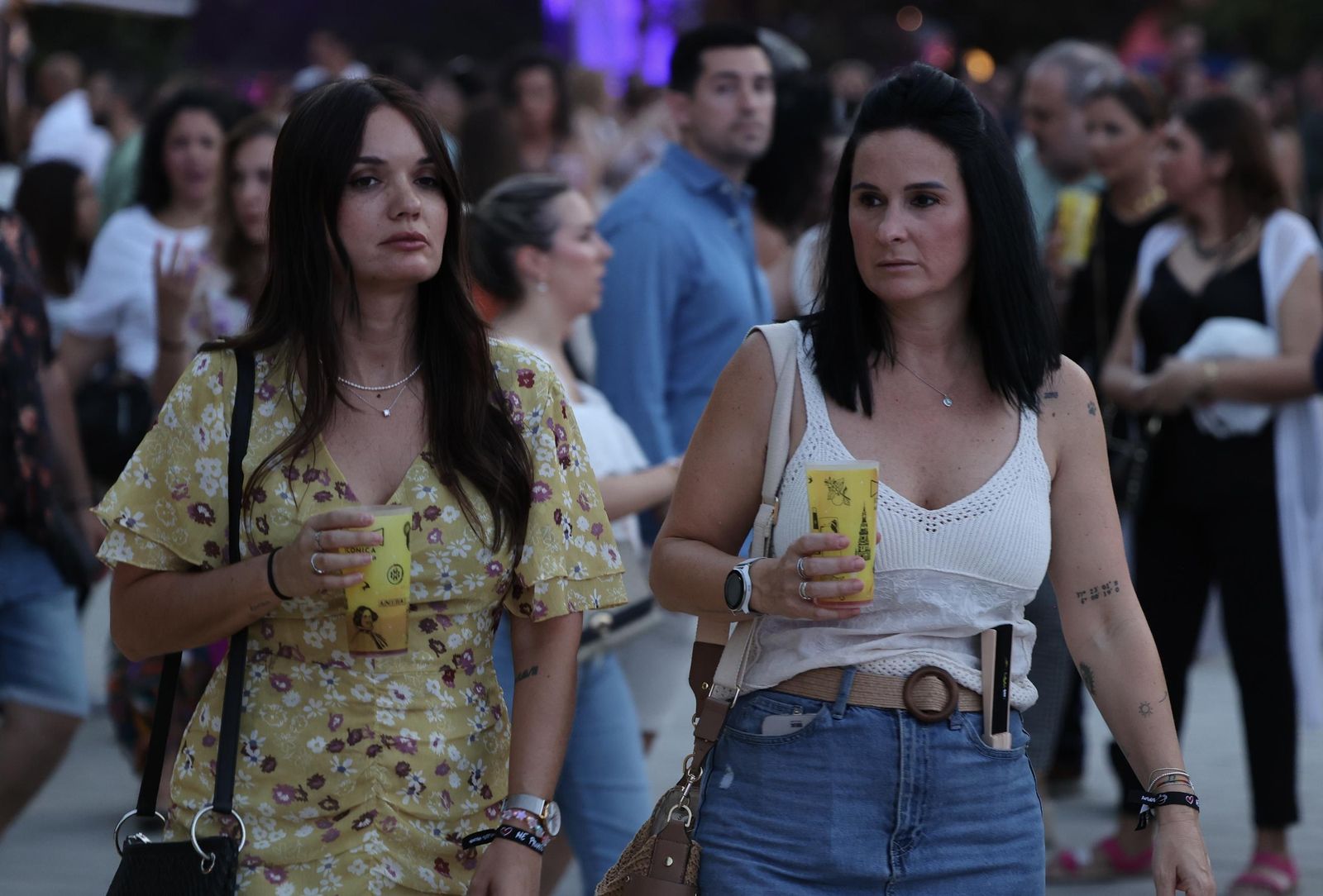 Búscate en las fotos del concierto de Antoñito Molina en Sevilla