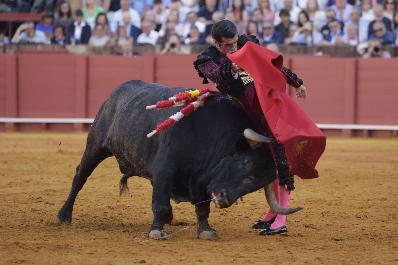 Las imágenes de la corrida de los Victorinos en la Maestranza de Sevilla