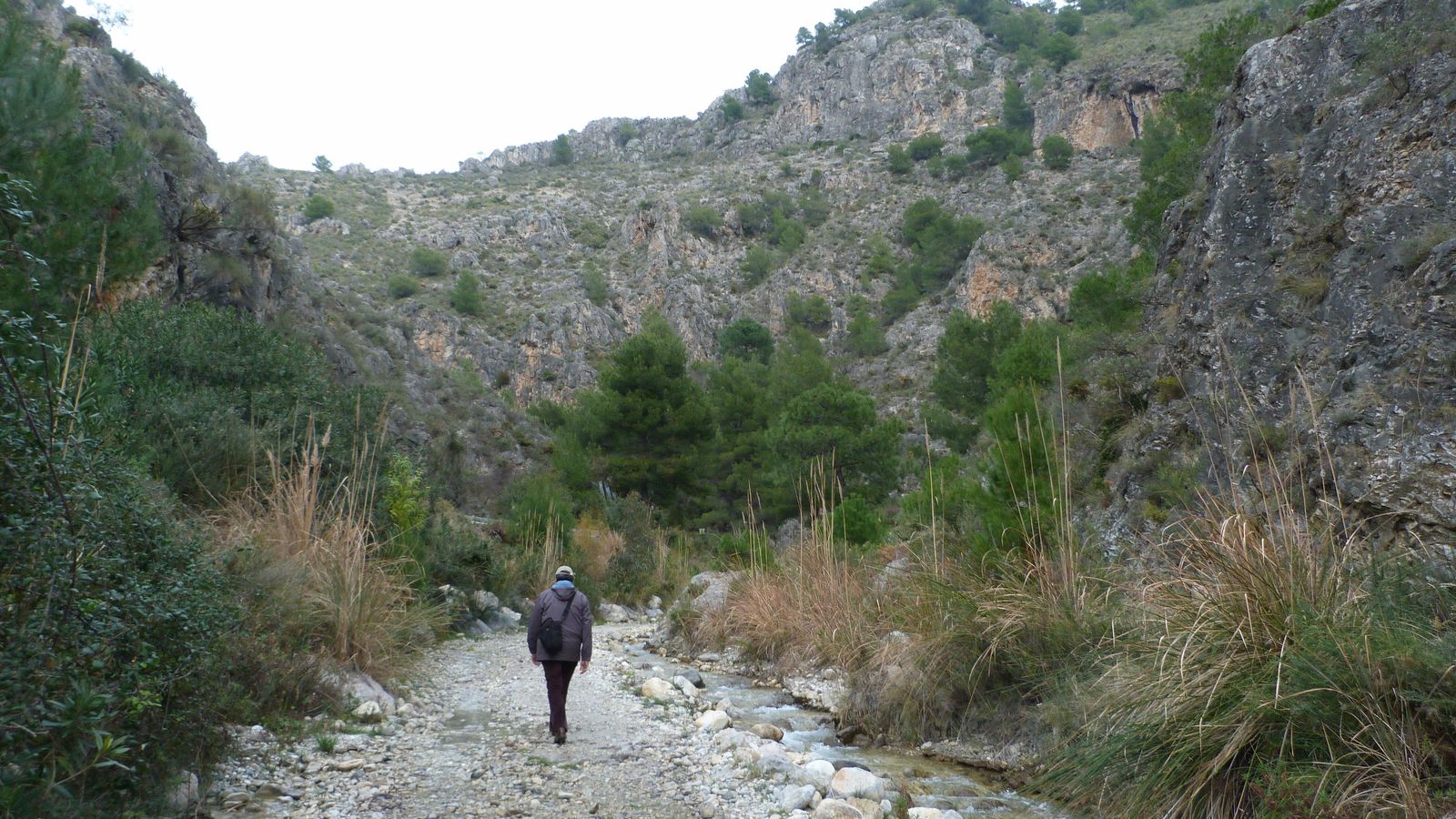 El río Higuerón recorre parte del término de Frigiliana.