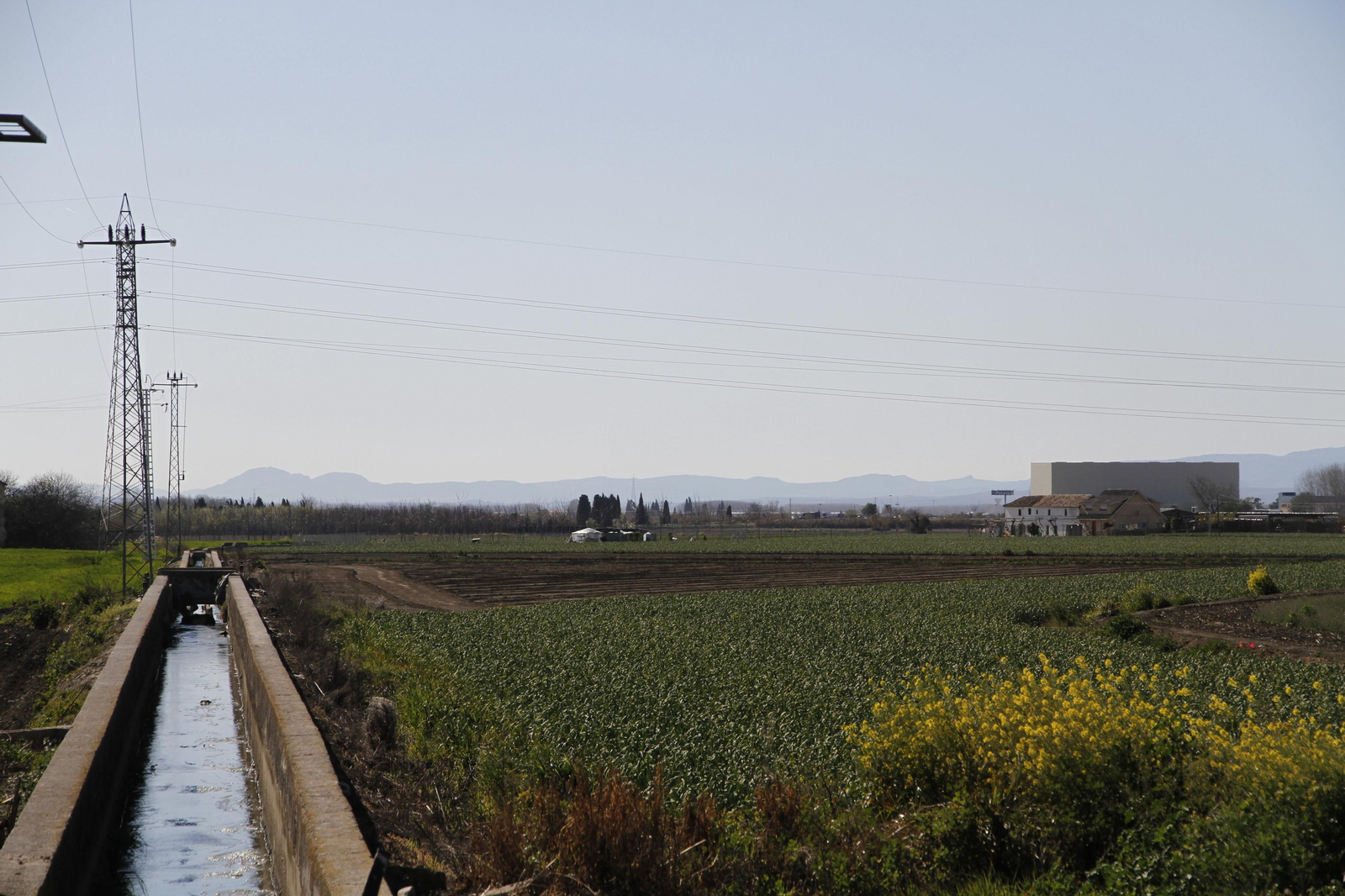 Imagen de acequias repartidas entre las zonas cultivables de la Vega de Granada