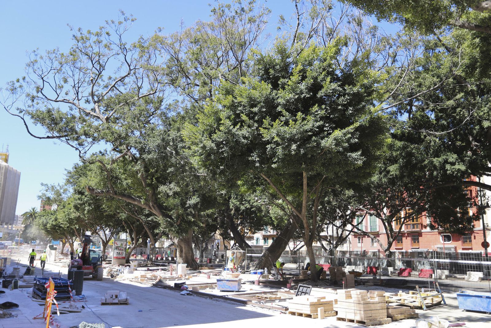 Las fotos de la recta final de las obras de la Alameda Principal