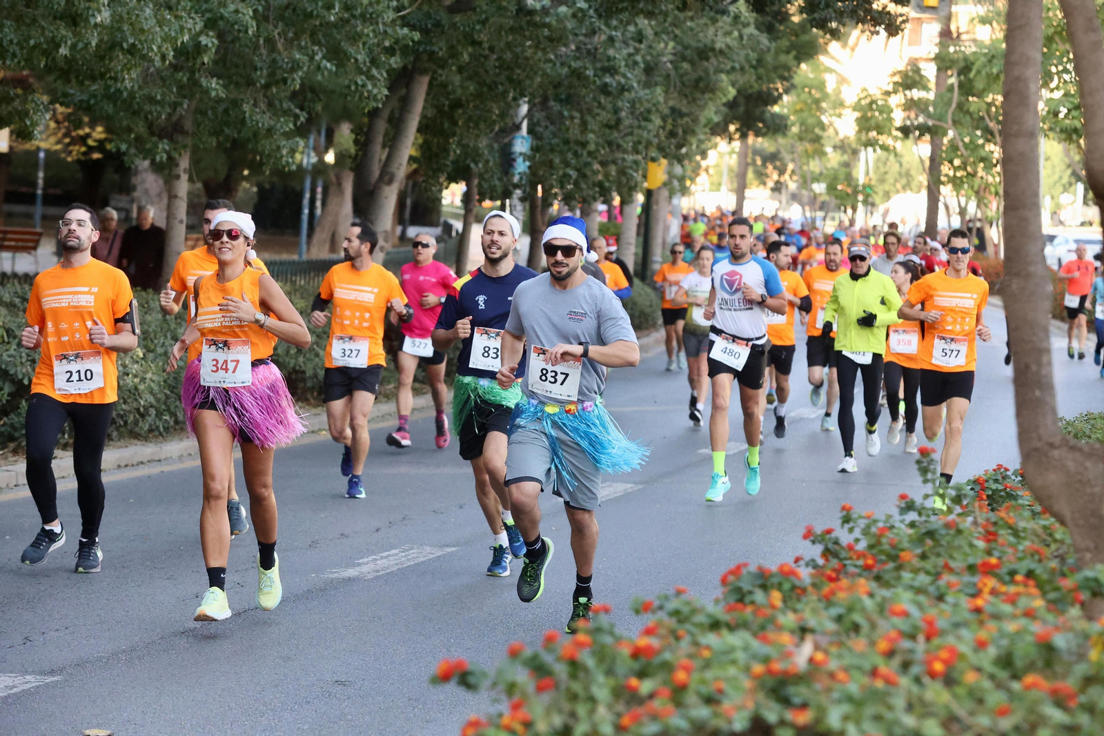 San Silvestre Palma-Palmilla 2023: Búscate en las fotos de la carrera
