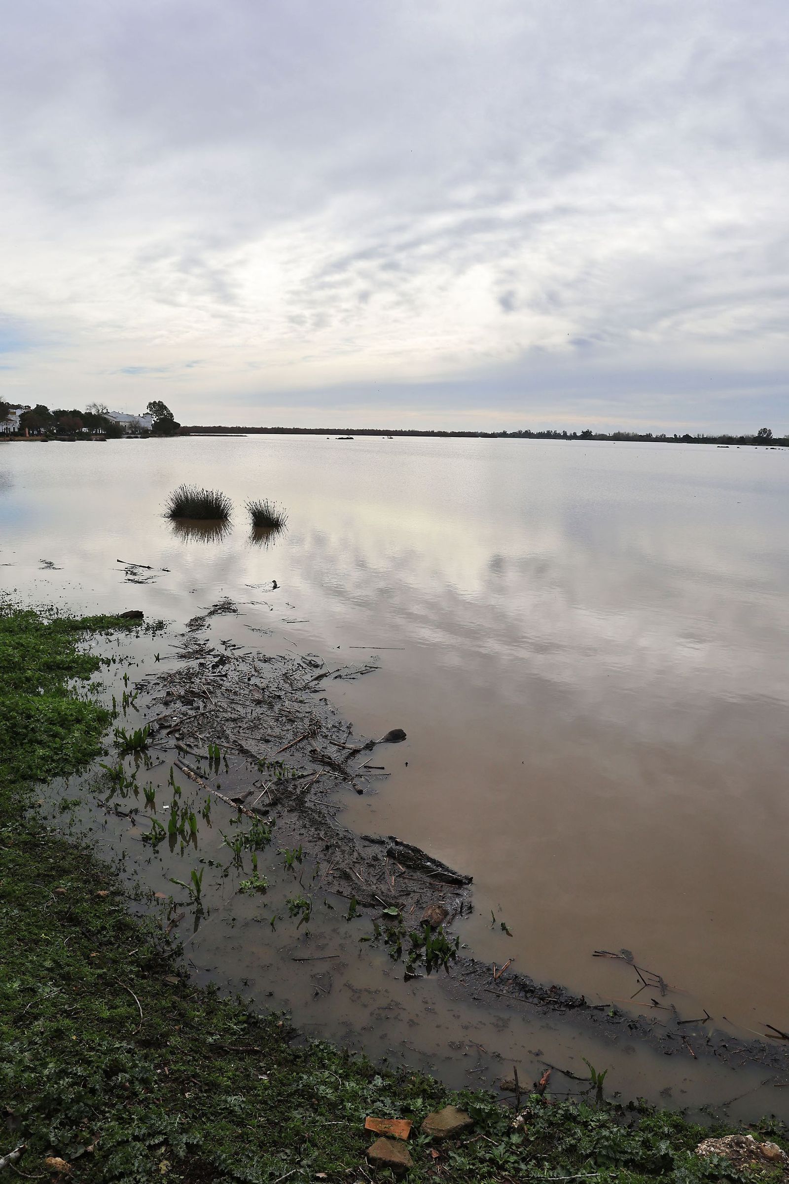 El estado de las marismas del Rocío tras el paso de la borrasca Marta