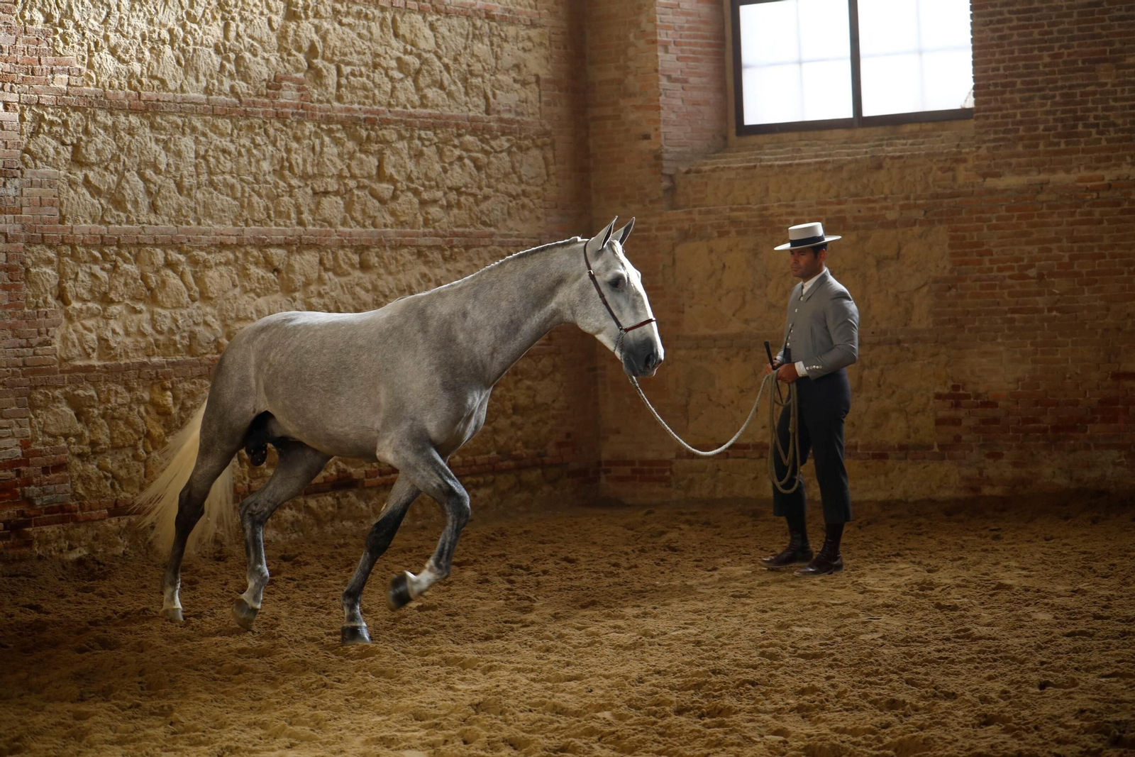 Un jinete y su caballo en la pasada edición de Cabalcor.