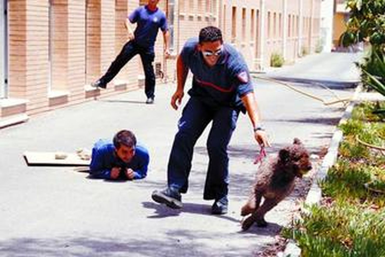 Bomberos realizan una práctica de rescate de personas en alcantarillas con un perro de la Unidad Canina.