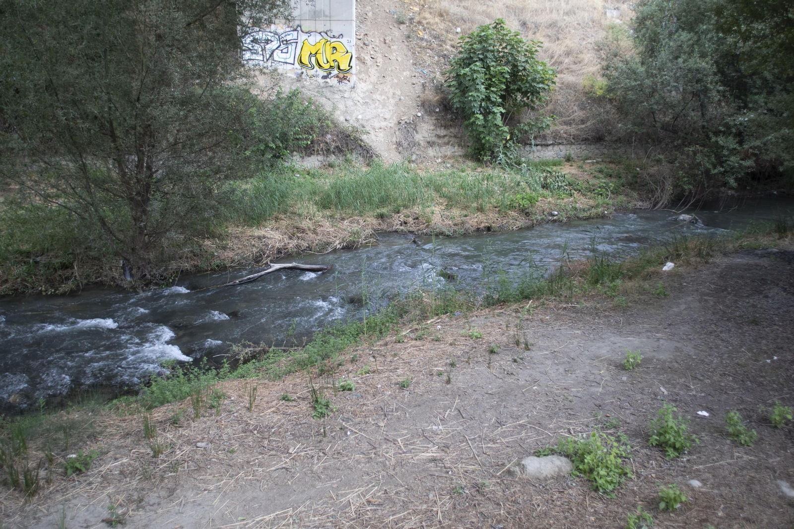 Ruta del Colesterol en Granada: cauces de los ríos Genil y Monachil