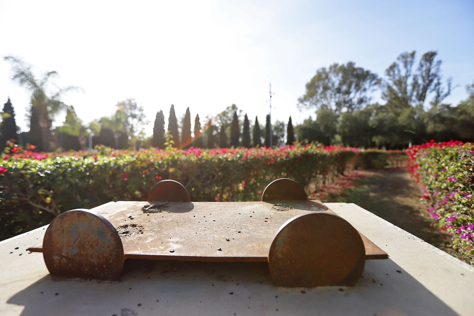 Imágenes del actual estado de las esculturas del museo al aire libre de Huelva