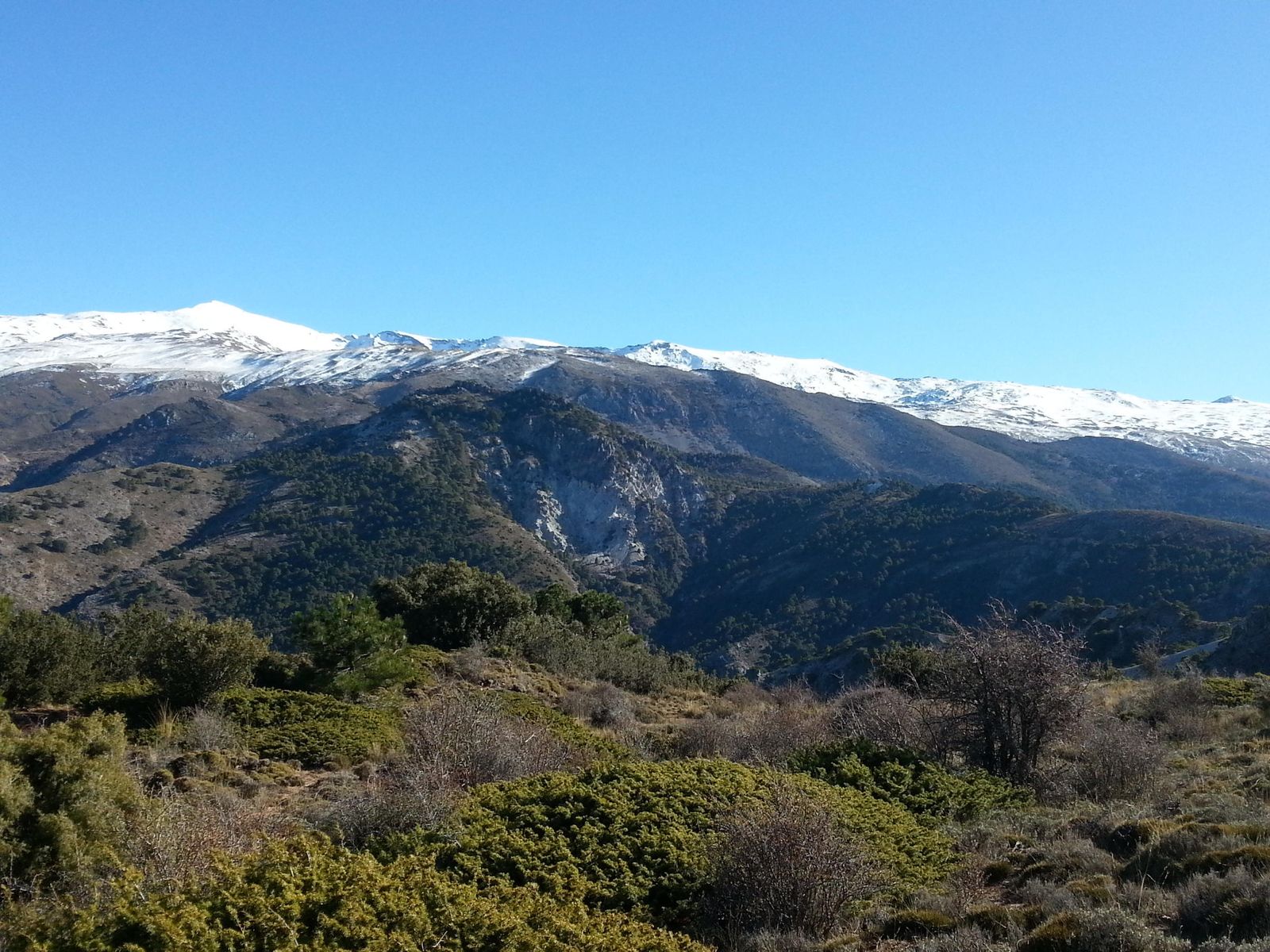 Celebración del Día Internacional de las Montañas