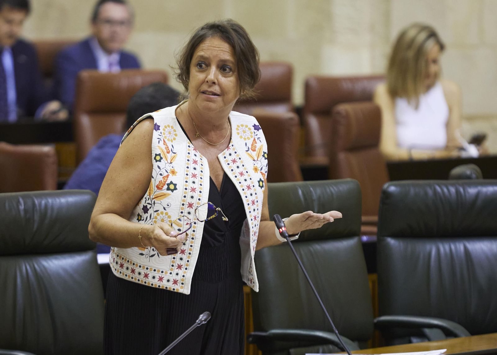 La consejera de Salud, Catalina García, en una comparecencia en el Parlamento.