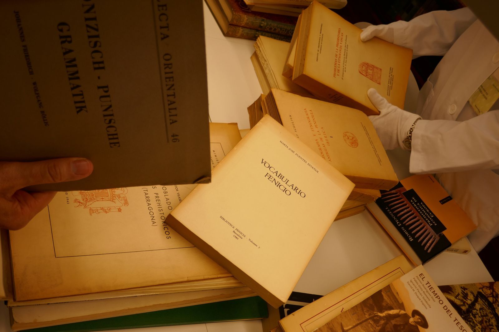 Donan al Museo de Málaga un relevante legado bibliográfico de cultura fenicia.