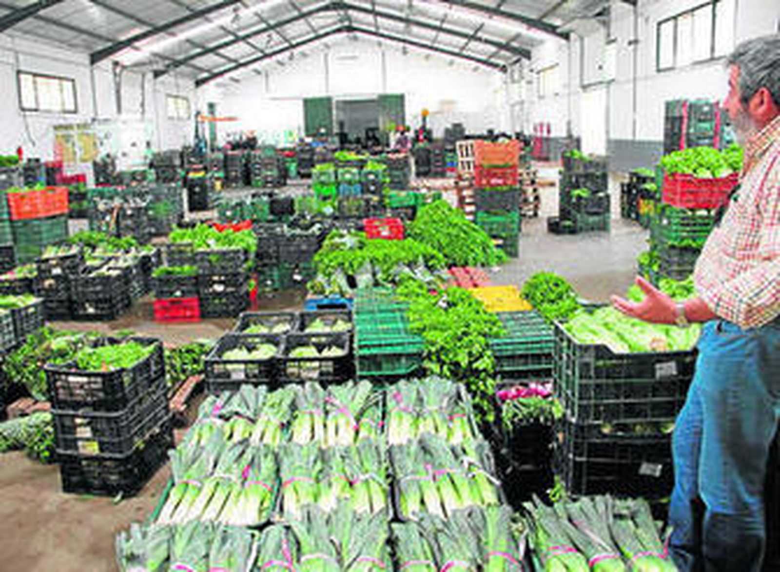 La sala de subastas de Las Virtudes repleta de verduras y hortalizas.
