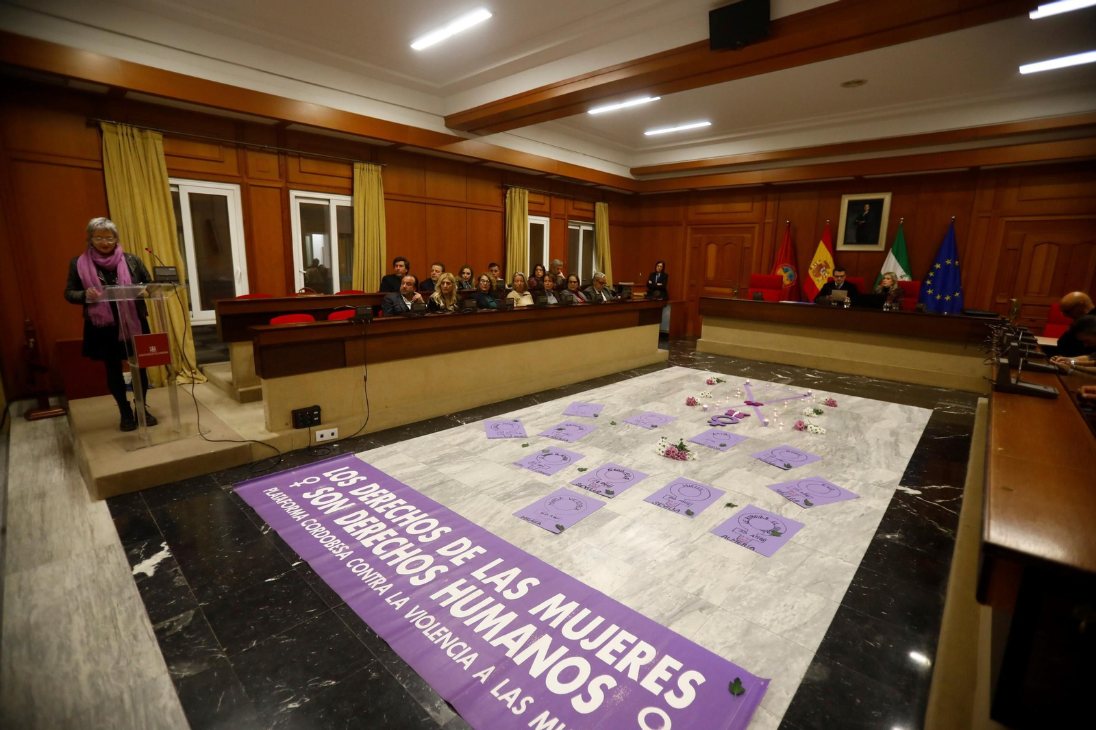 Pleno por el 25N en el Ayuntamiento de Córdoba