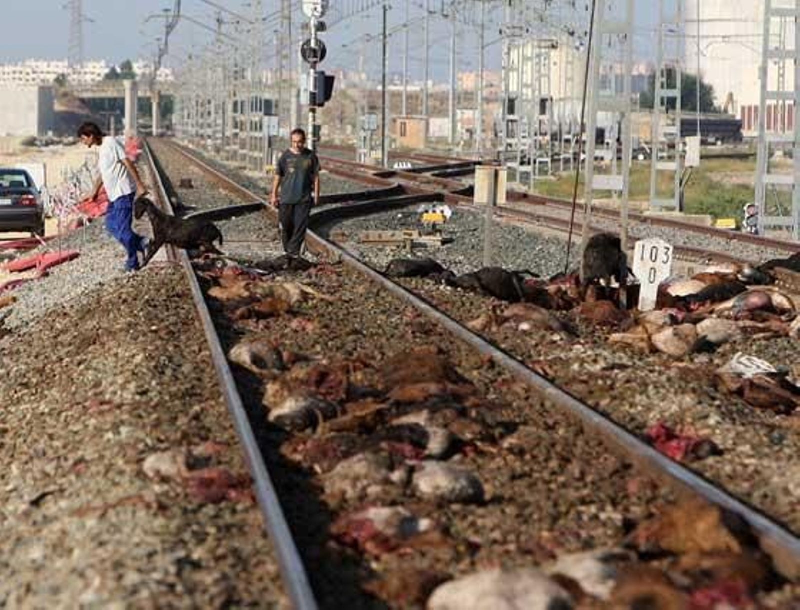 Renfe emitió un comunicado en el que señaló que  este contratiempo se debió al daño sufrido en la estructura del carril ferroviario,

Foto: Juan Carlos Toro
