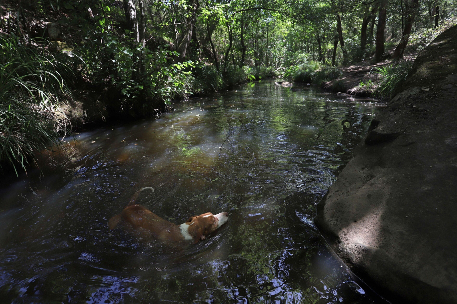 La Montera del Torero y Valdeinfierno
