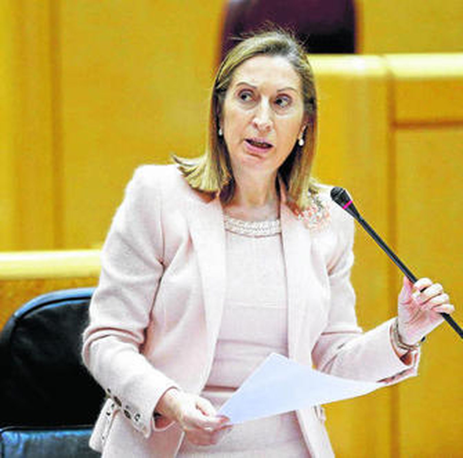 La ministra de Fomento, Ana Pastor, durante una comparecencia en el Senado.