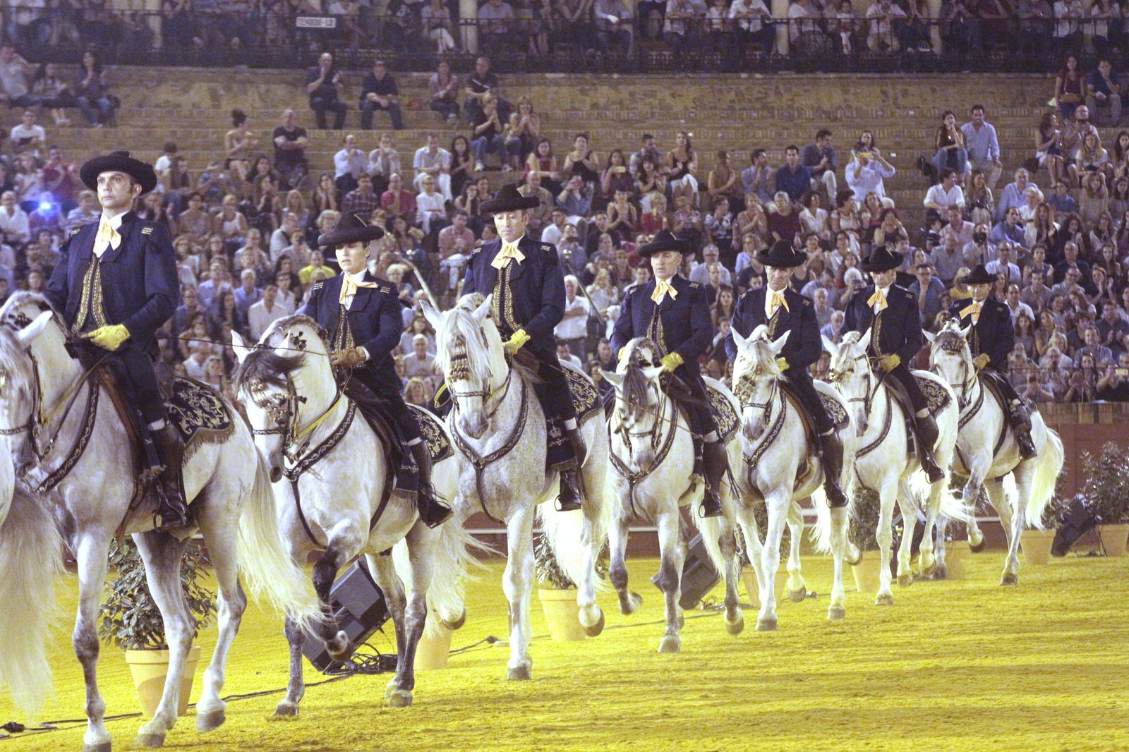 El espectáculo 'Cómo bailan los caballos andaluces', en imágenes