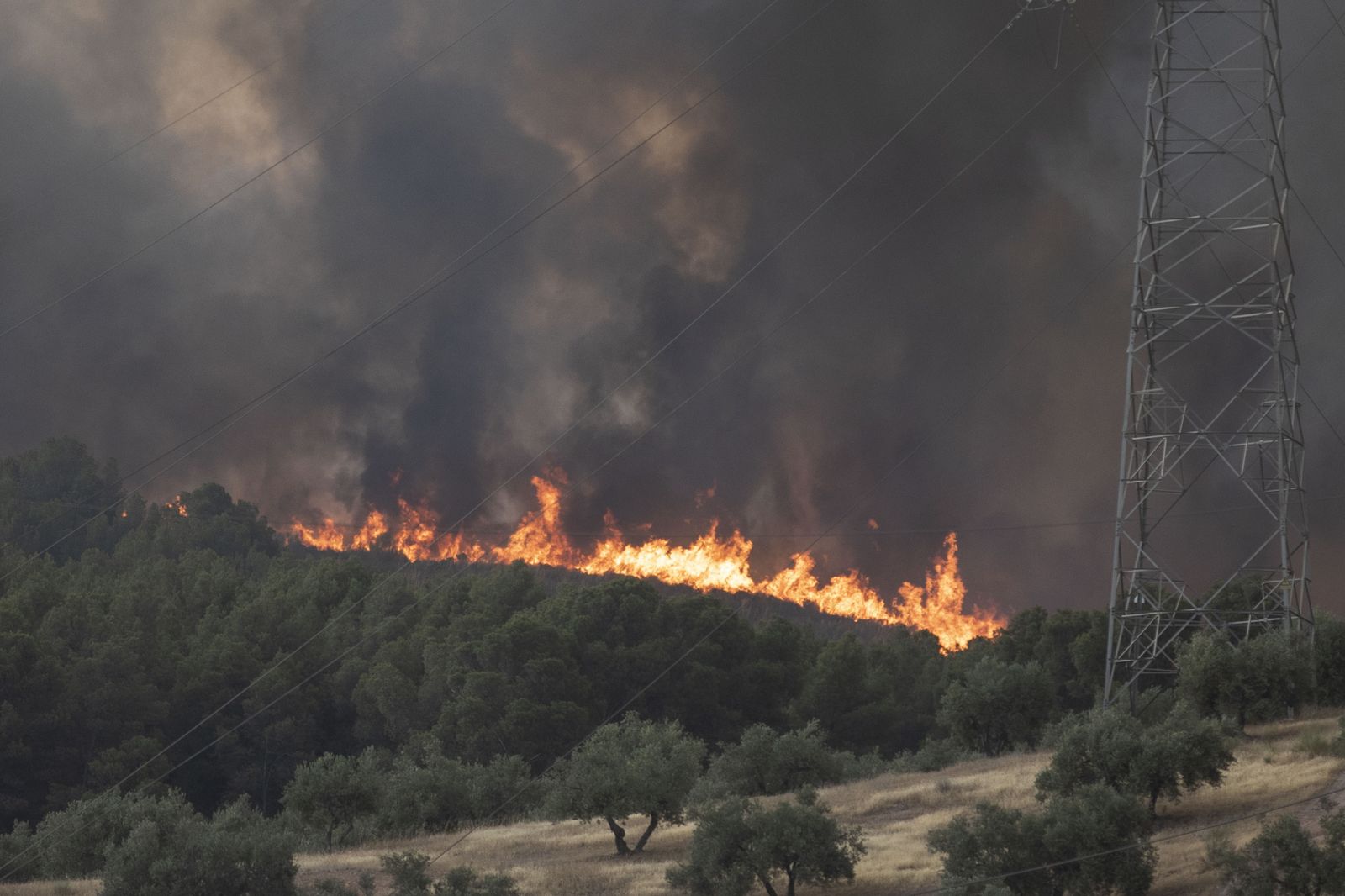 El fuego obliga a desalojar viviendas y se acerca a urbanizaciones de Albolote