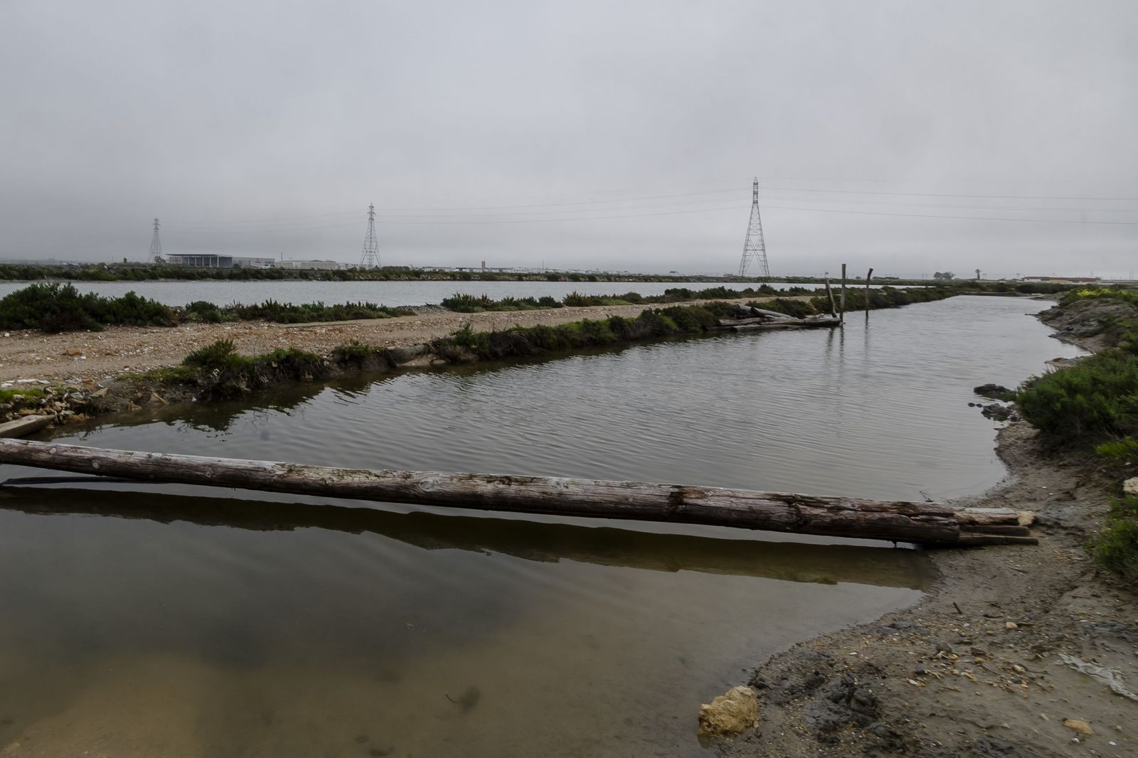 Imagen de las Salinas San Vicente, en el término municipal de San Fernando.