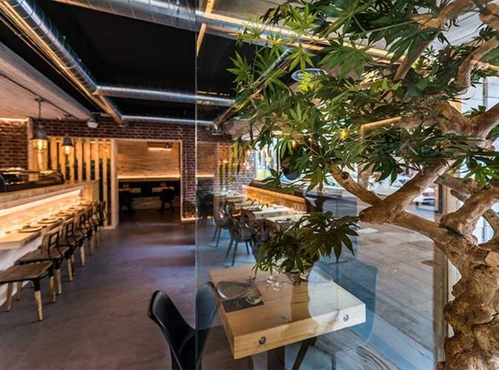 Una imagen del nuevo restaurante. Una imagen del nuevo restaurante.
