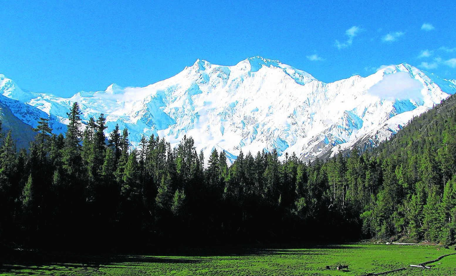 El Nanga Parbat y sus 8.125 metros vistos desde una de las llanuras cercanas a la cordillera del Karakórum.