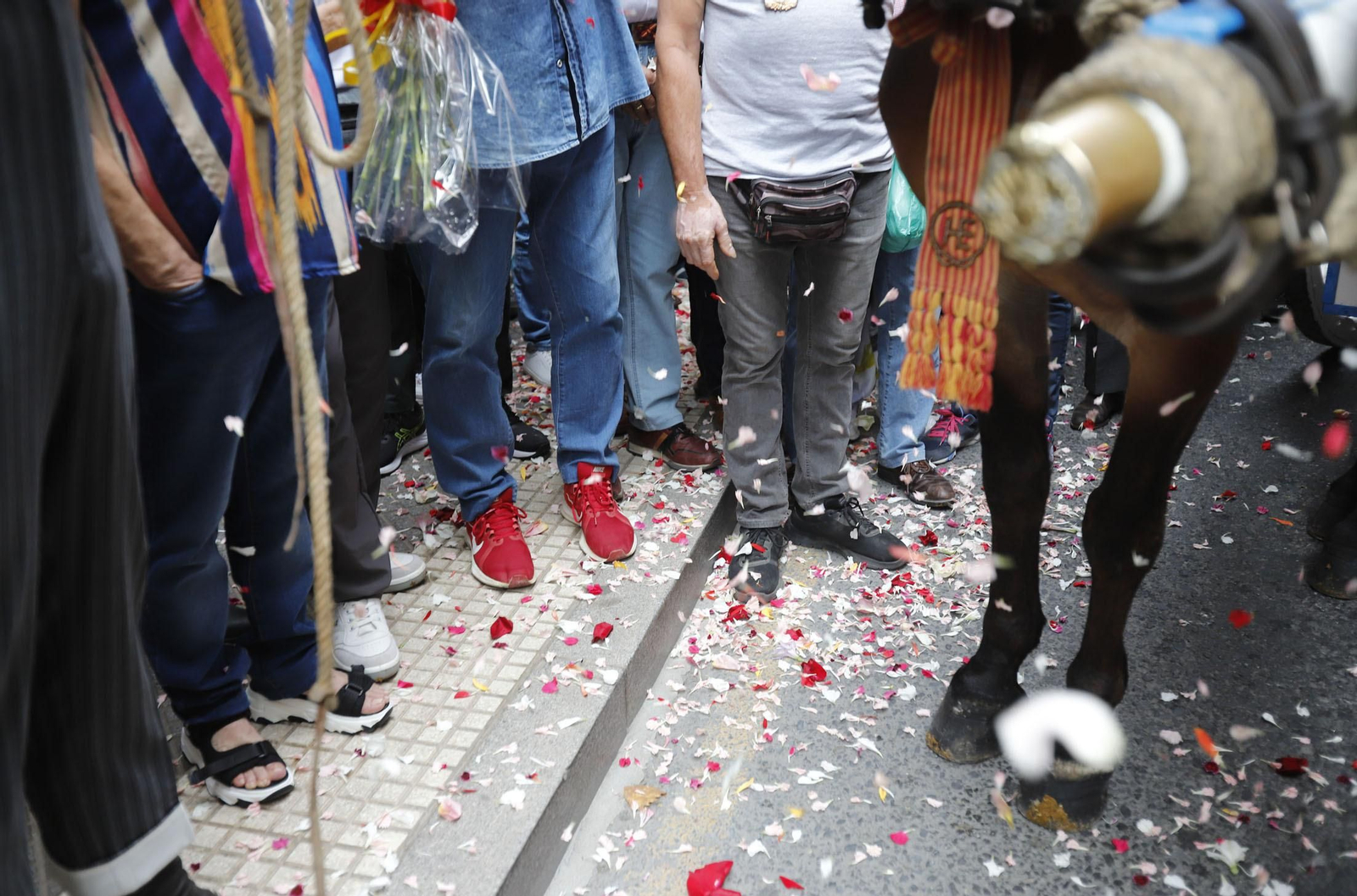 Imágenes de Emigrantes en Casa Venancio